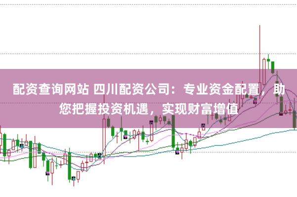 配资查询网站 四川配资公司：专业资金配置，助您把握投资机遇，实现财富增值