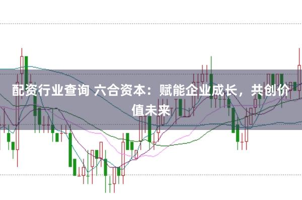 配资行业查询 六合资本：赋能企业成长，共创价值未来