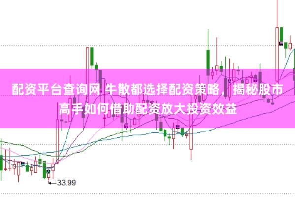 配资平台查询网 牛散都选择配资策略,揭秘股市高手如何借助配资放大投资效益