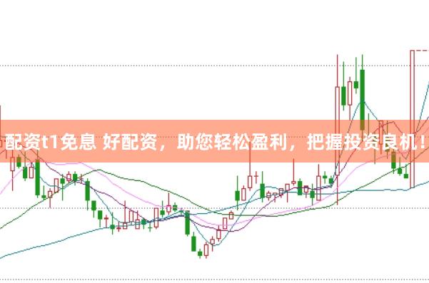 配资t1免息 好配资，助您轻松盈利，把握投资良机！