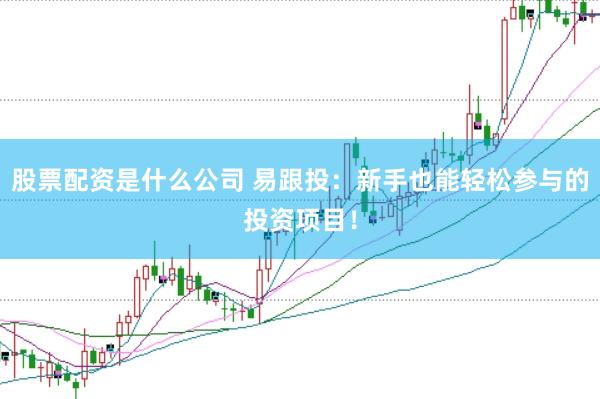 股票配资是什么公司 易跟投：新手也能轻松参与的投资项目！