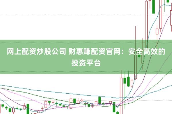 网上配资炒股公司 财惠赚配资官网：安全高效的投资平台