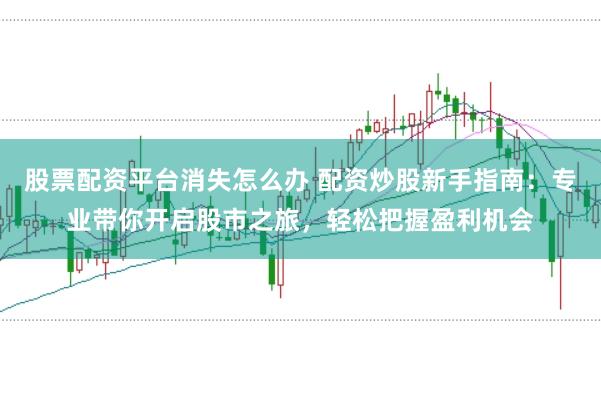 股票配资平台消失怎么办 配资炒股新手指南：专业带你开启股市之旅，轻松把握盈利机会