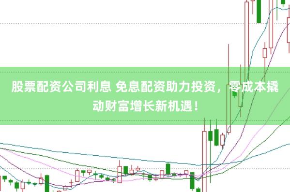 股票配资公司利息 免息配资助力投资，零成本撬动财富增长新机遇！