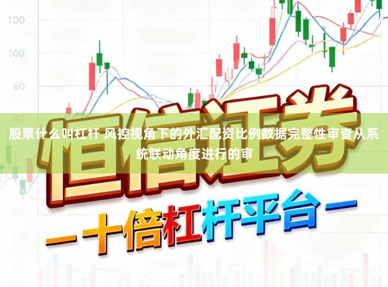 股票什么叫杠杆 风控视角下的外汇配资比例数据完整性审查从系统联动角度进行的审