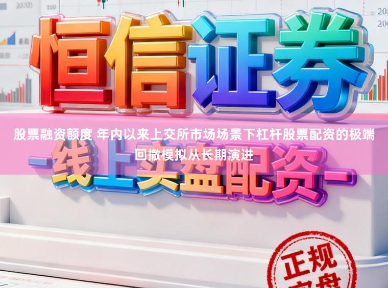 股票融资额度 年内以来上交所市场场景下杠杆股票配资的极端回撤模拟从长期演进
