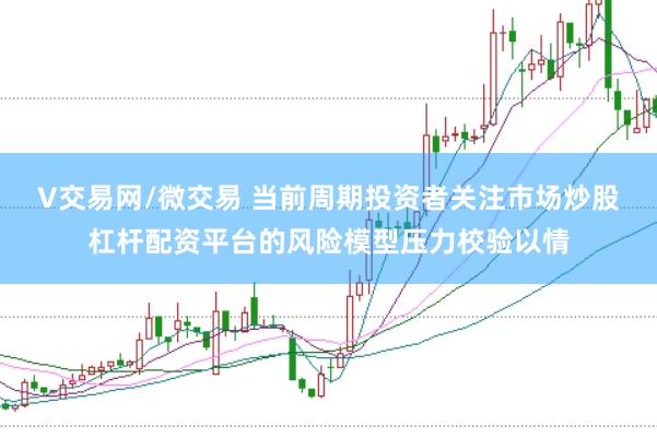 V交易网/微交易 当前周期投资者关注市场炒股杠杆配资平台的风险模型压力校验以情
