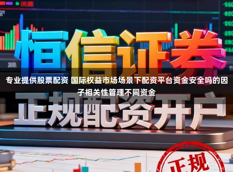 专业提供股票配资 国际权益市场场景下配资平台资金安全吗的因子相关性管理不同资金