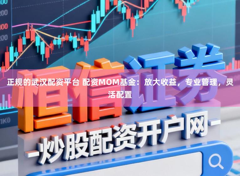 正规的武汉配资平台 配资MOM基金：放大收益，专业管理，灵活配置